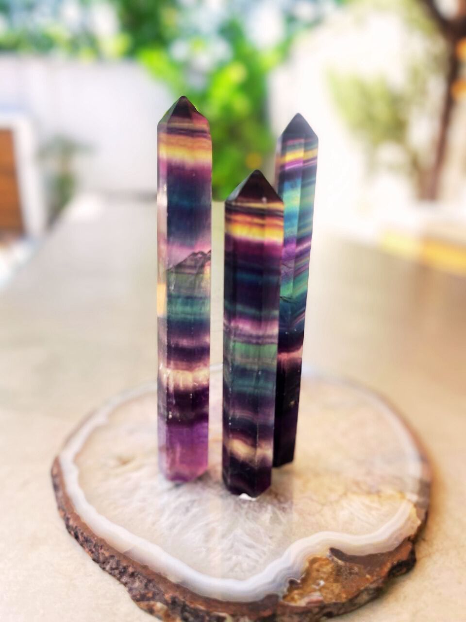 WhatsApp Image 2024-11-04 at 18.55.06