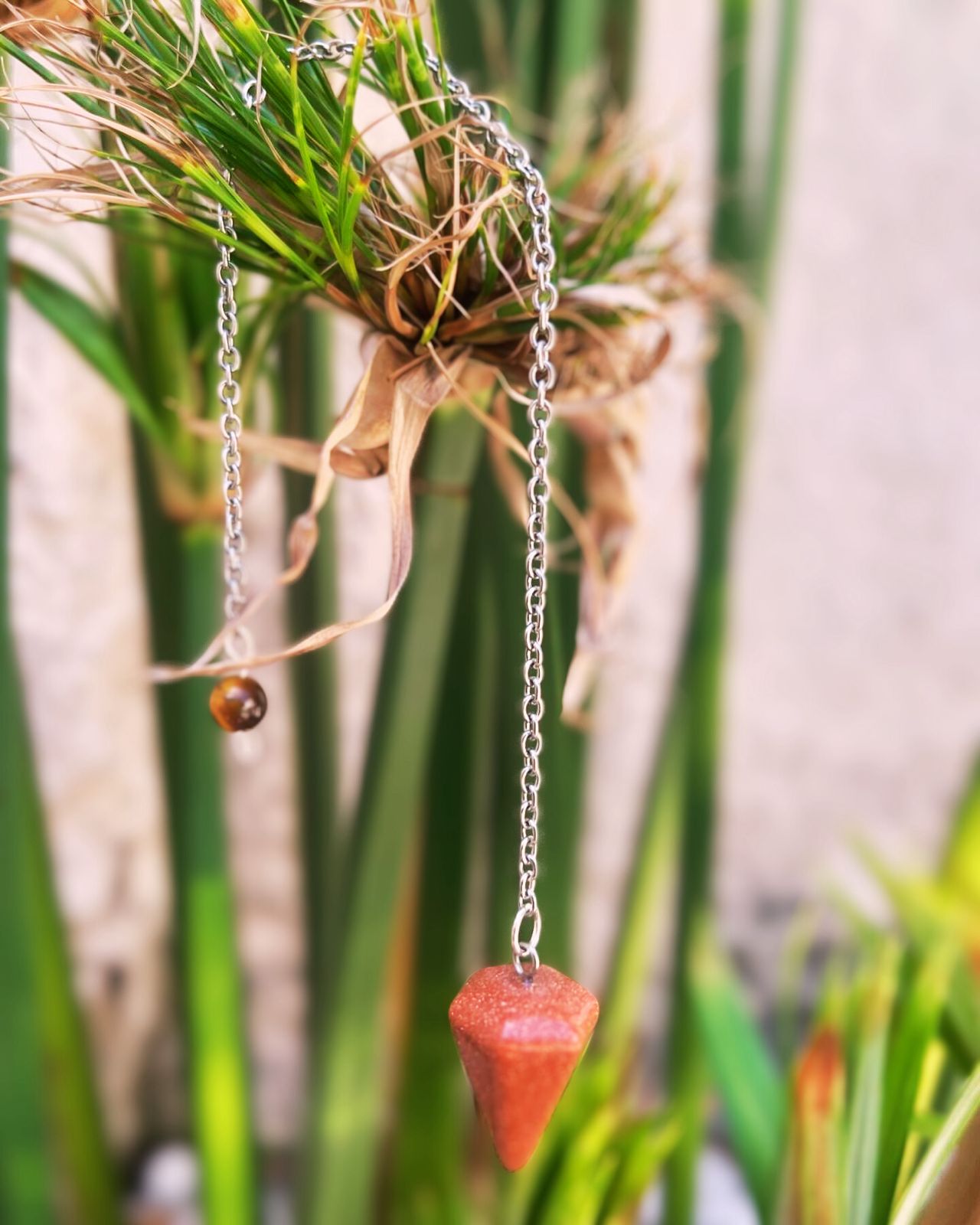 WhatsApp Image 2024-11-04 at 18.56.38